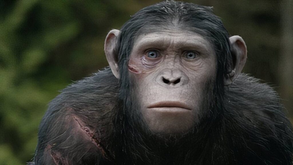 The Best Sci-Fi Movies of the 2010s: An Industry Analysis of a Genre-Defining Decade