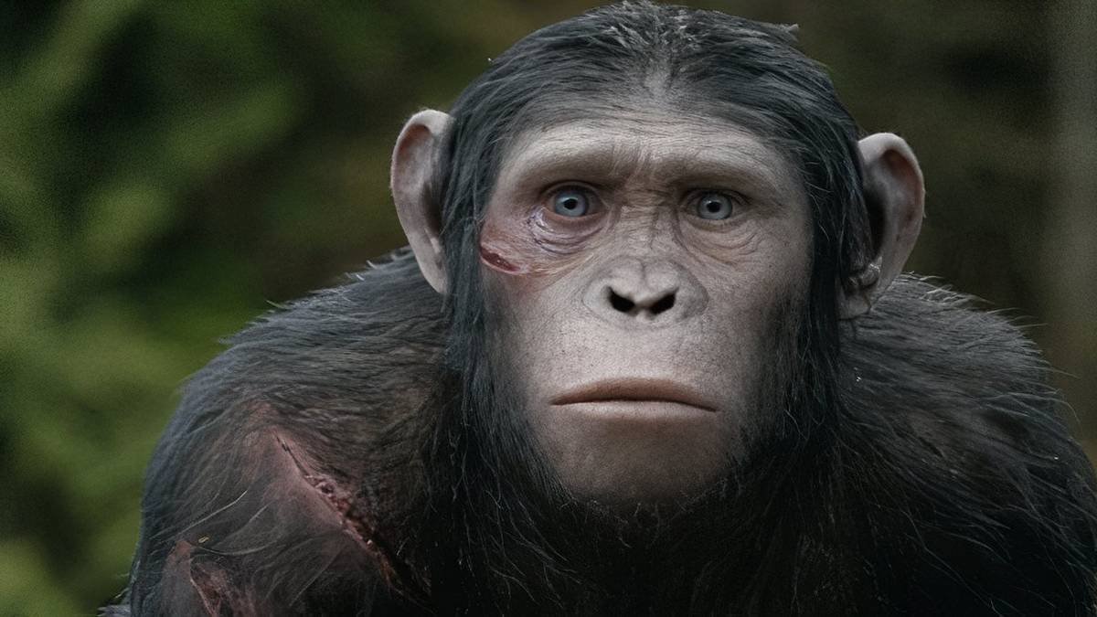 The Best Sci-Fi Movies of the 2010s: An Industry Analysis of a Genre-Defining Decade