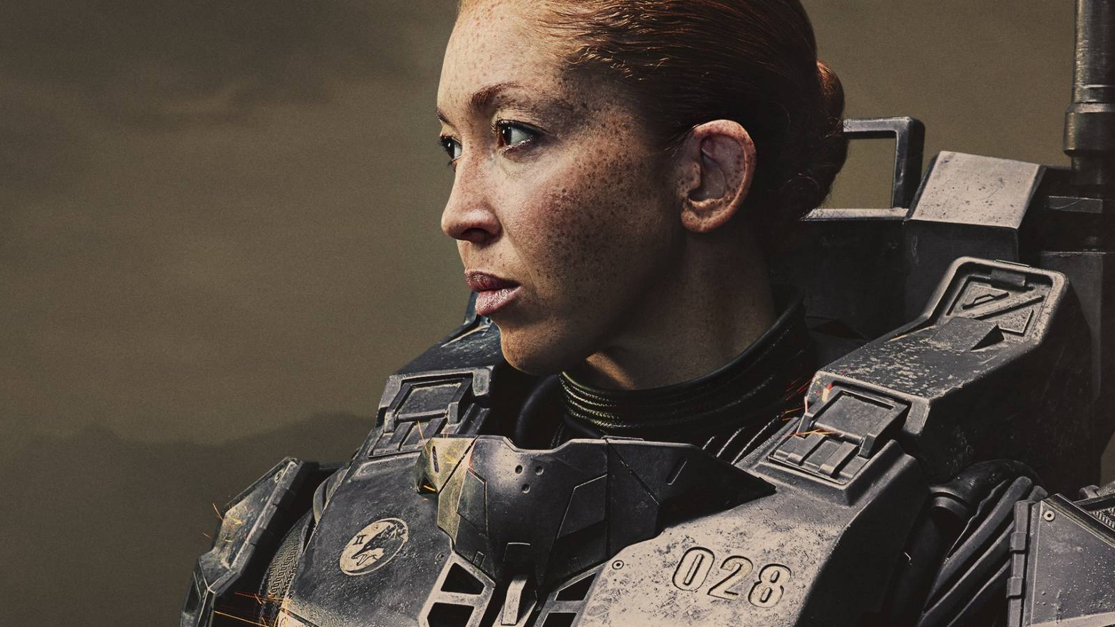 Halo Waypoint Chronicles Release: An Industry Deep Dive